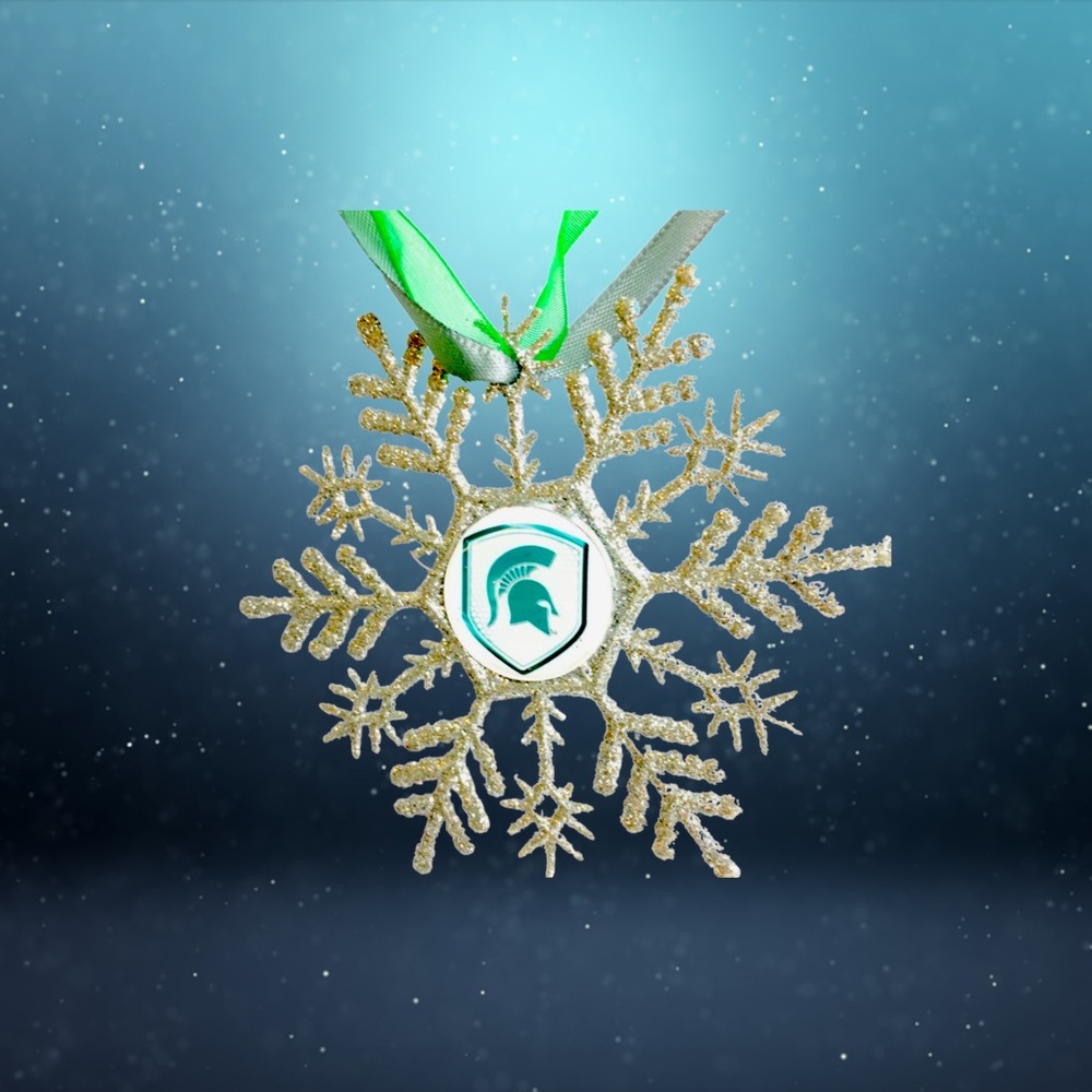 Michigan State SPARTANS Snowflake Christmas Ornament *NEW*